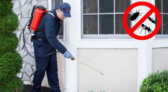 Safranbolu Dezenfeksiyon böcek ilaçlama ve haşere kontrolü — ilaclama-tr.com